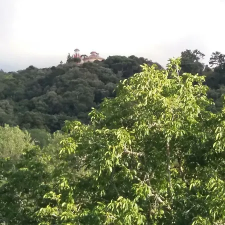 Casa Da Nogueira